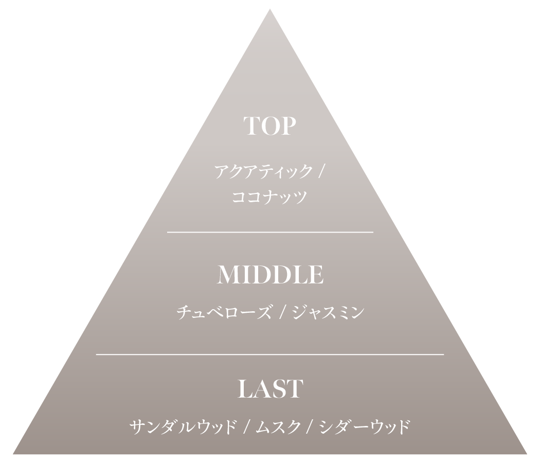 フレグランスチャート　ピラミッド