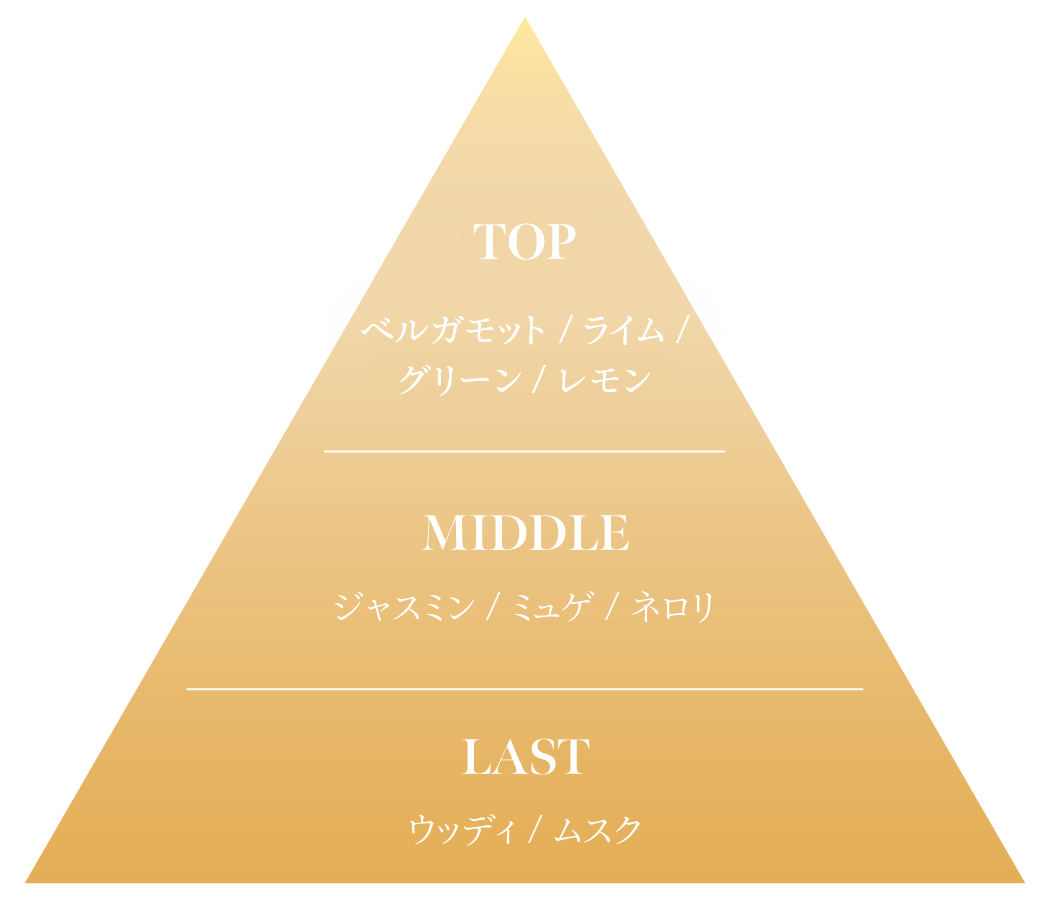 ピラミッドのフレグランスチャート