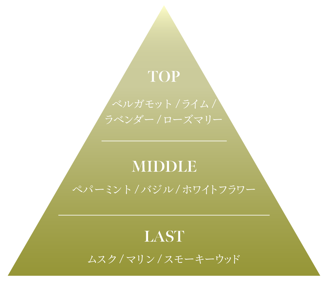 フレグランスチャート　ピラミッド